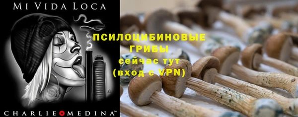 шишки Алексин