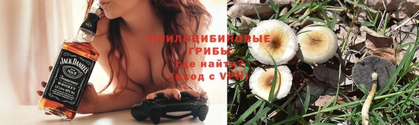 таблы Алексеевка