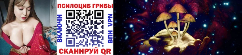 Галлюциногенные грибы мухоморы  Чайковский 