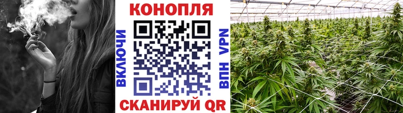 закладки  ссылка на мегу   Шишки марихуана планчик  Чайковский 